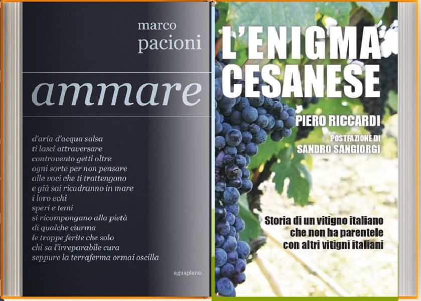 https://www.terredipregio.it/immagini_news/136/ammare-l-enigma-cesanese-presentazione-libri-di-marco-pacioni-e-piero-riccardi-136-600.png