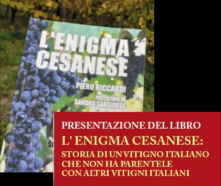 https://www.terredipregio.it/immagini_news/144/l-enigma-cesanese-la-storia-di-un-vitigno-144-600.png