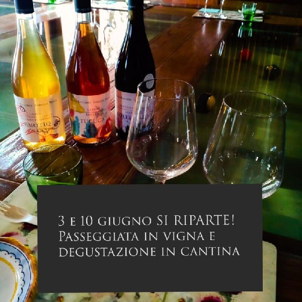 https://www.terredipregio.it/immagini_news/94/degustazione-vigneti-di-colle-pazzo-94-600.jpg