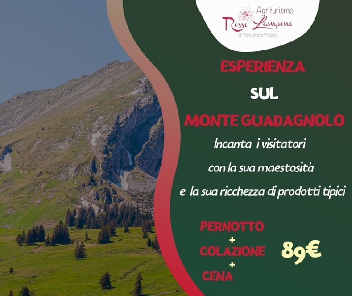 https://www.terredipregio.it/immagini_news/96/esperienza-sul-monte-guadagnolo-96-600.jpg